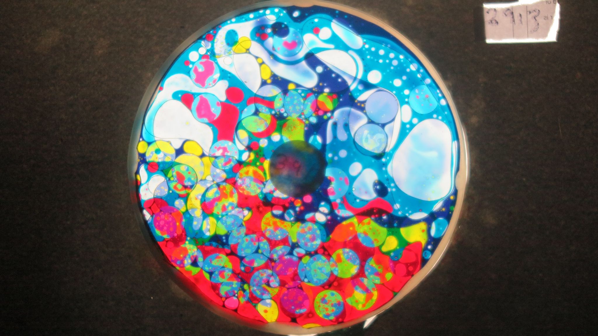 BV3913 bubble vision oil wheel